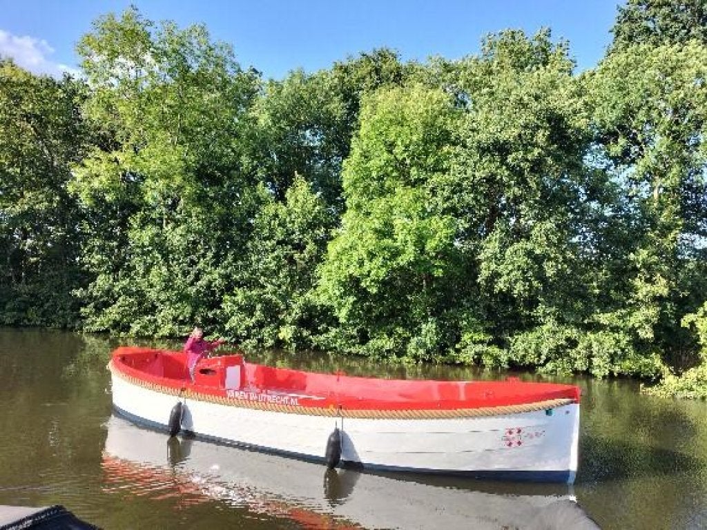 Alumax elektrische rondvaartboten met CVO, Es-Trin keur, Watersport en Boten, Motorboten en Motorjachten, 3 m, 10 m, Aluminium