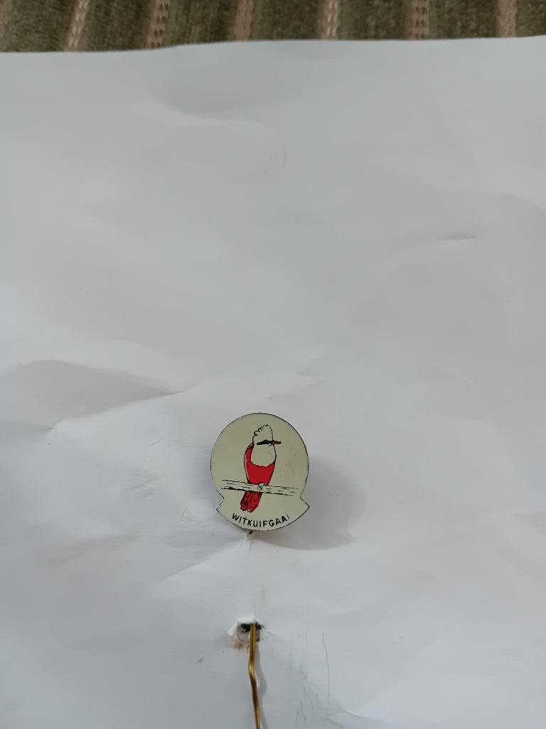 Pin - Witkuifgaai, Ophalen of Verzenden, Zo goed als nieuw, Dier of Natuur, Speldje of Pin