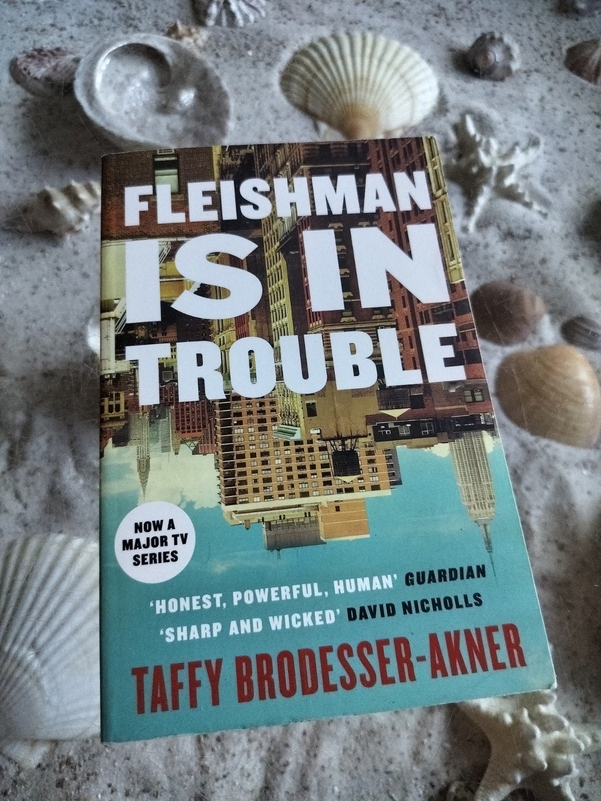 Taffy Brodesser-Akner - Fleishman is in trouble - English, Ophalen of Verzenden, Gelezen