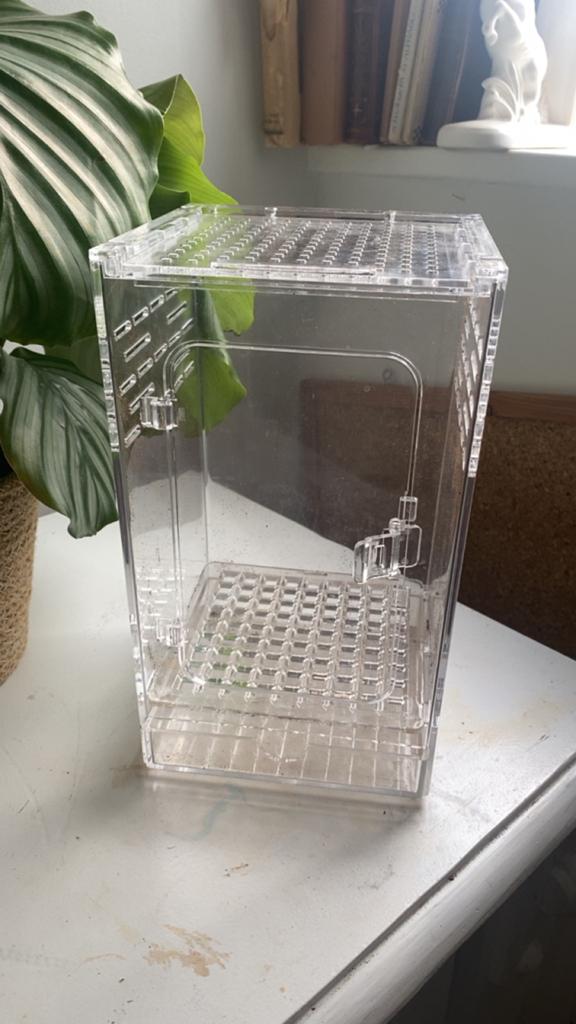 Terrarium voor springspin, Dieren en Toebehoren, Insecten en Spinnen, Spin of Schorpioen