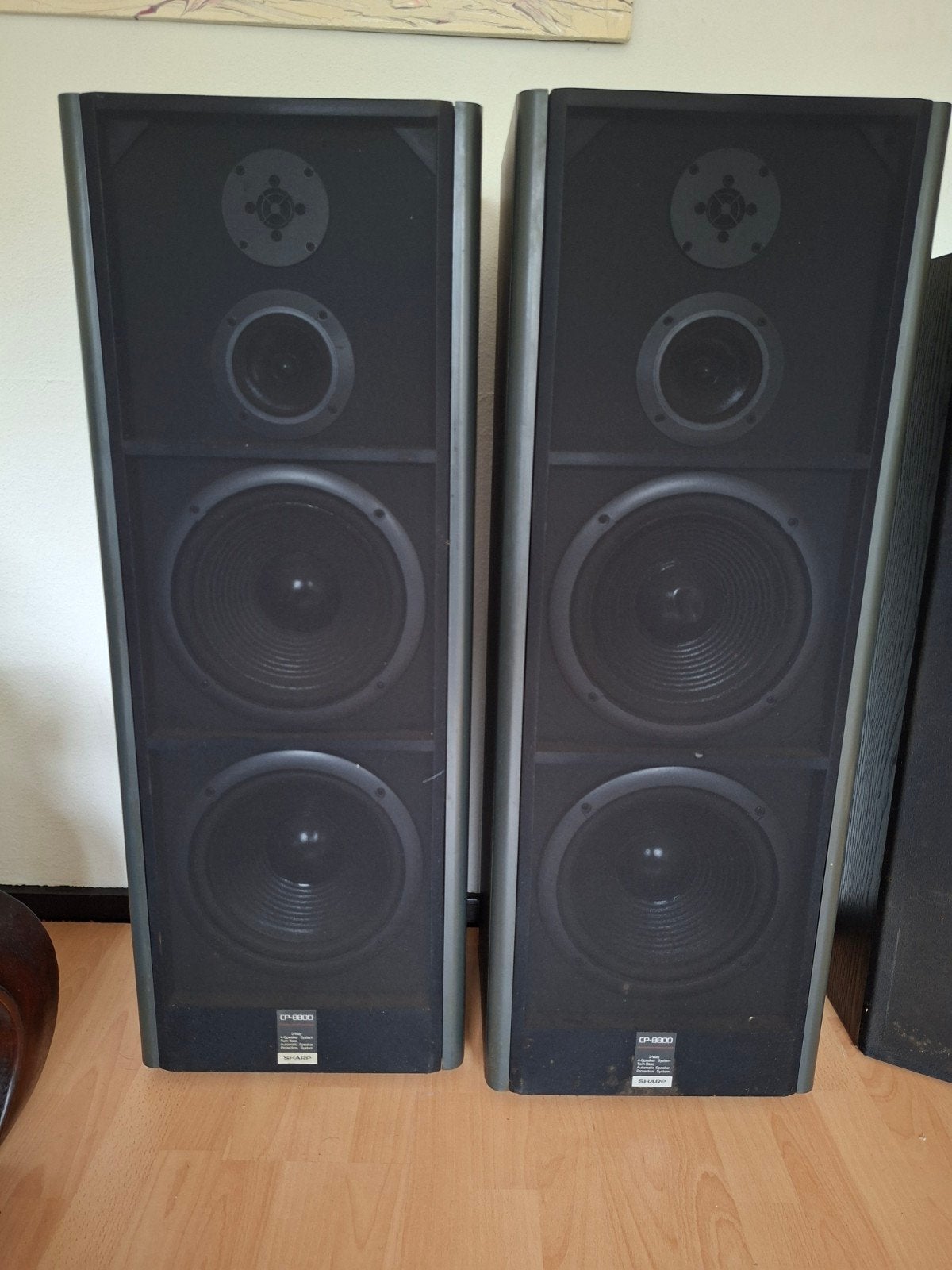 Sharp CP-8800 H(GY) Vloerstaande Luidsprekers - 200W, Audio, Tv en Foto, Luidsprekers, Vloerstaande luidspreker, Ophalen, 150 watt of meer