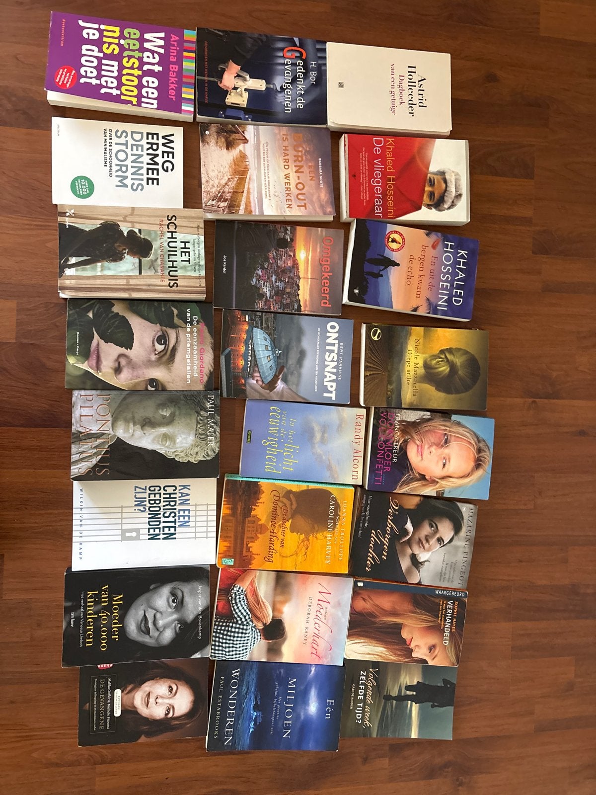 Diverse boeken: romans, biografieën, non-fictie, Ophalen of Verzenden, Gelezen, Nederland