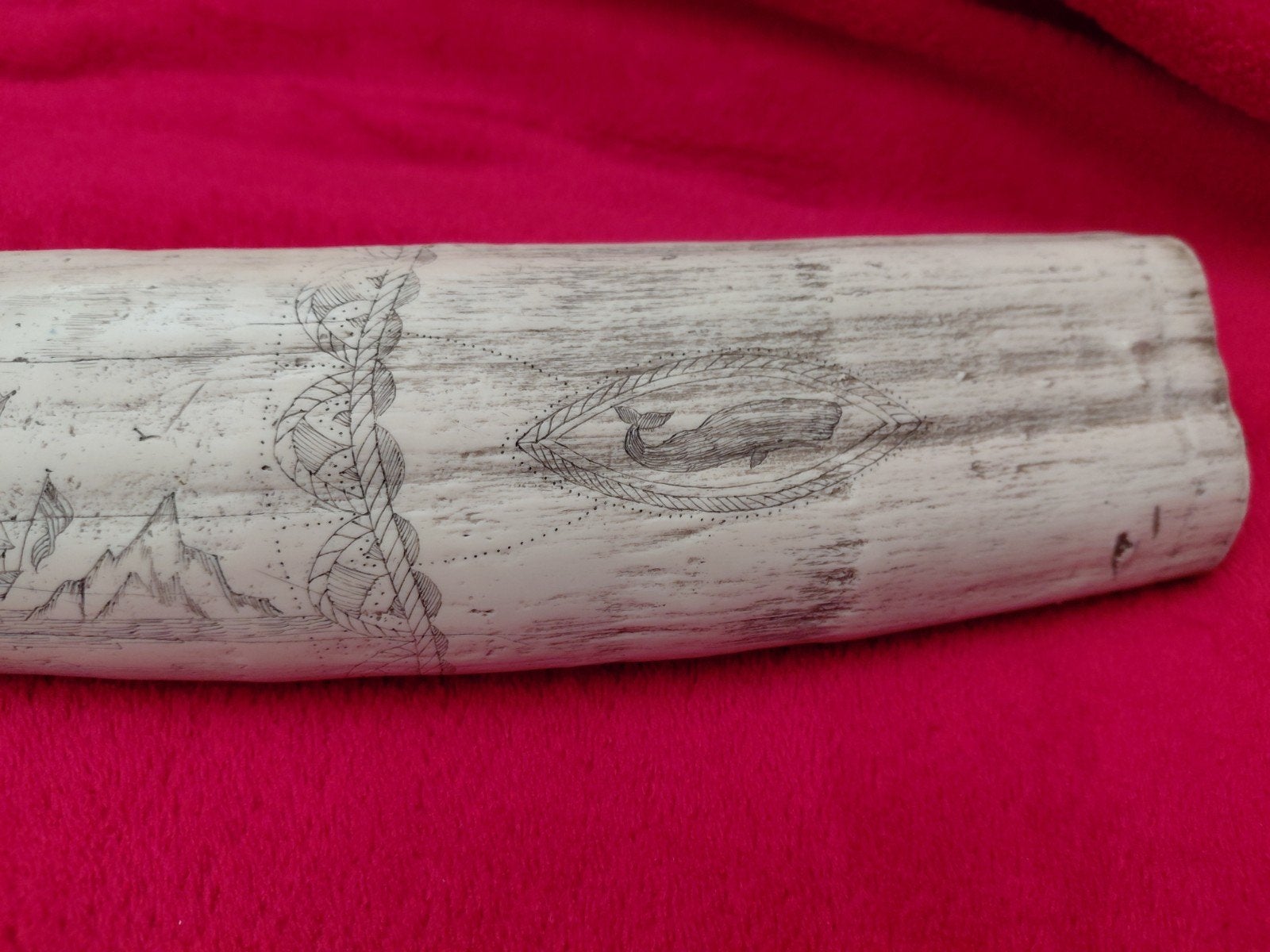 Antieke scrimshaw walrustand, 1841 - Walvisvaarder Prince, Ophalen of Verzenden