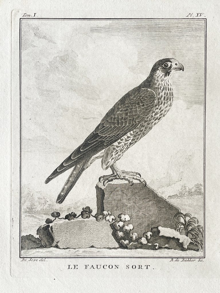 Ets 1801 du buffon in passe-partout en gratis verzending, Antiek en Kunst, Kunst | Etsen en Gravures, Ophalen of Verzenden