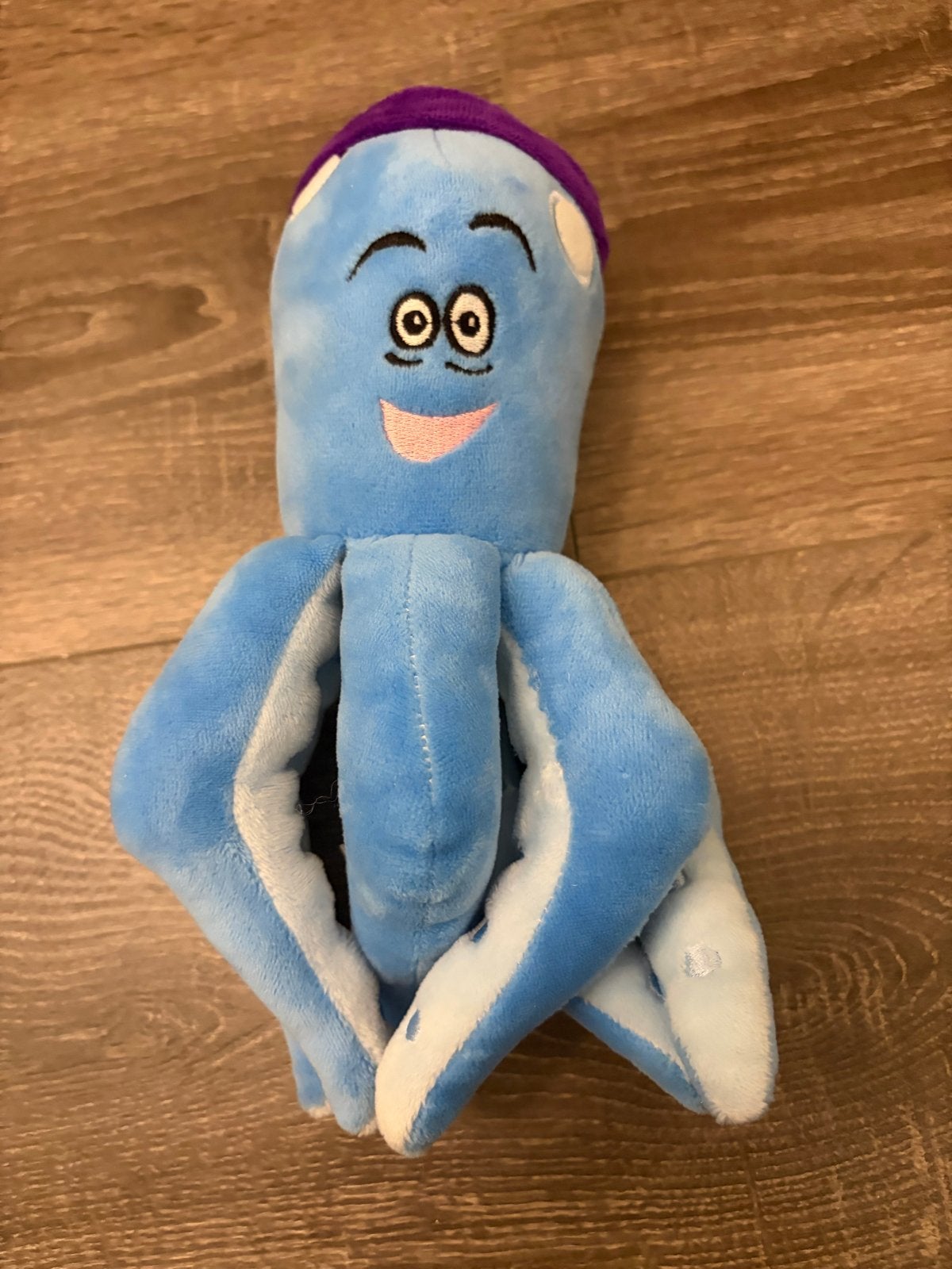Leuke blauwe octopus knuffel - zwemles thema, Kinderen en Baby's, Speelgoed | Knuffels en Pluche, Ophalen of Verzenden, Gebruikt