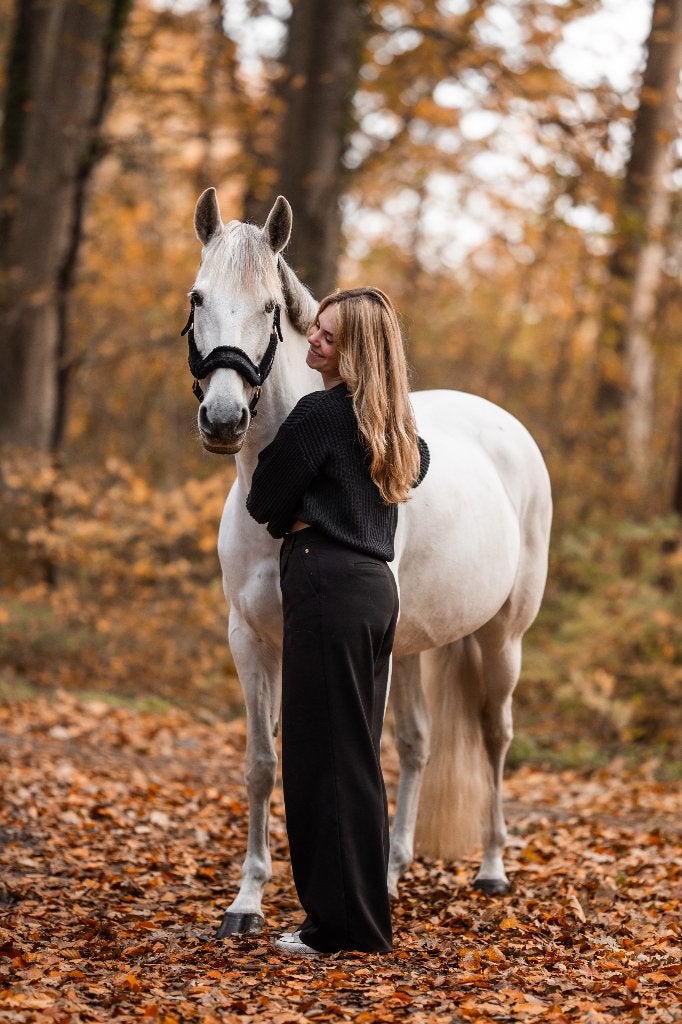 Hugo zoekt een nieuw teamlid! (verzorgster/bijrijdster), Ophalen, Nieuw