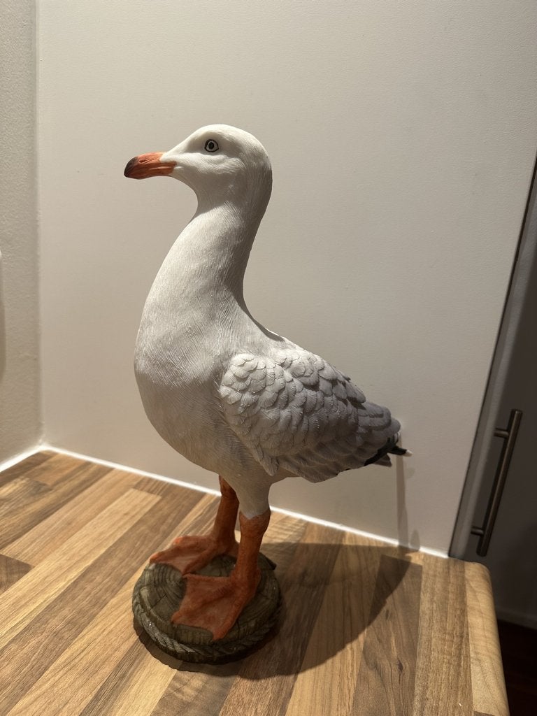 Prachtige Meeuw (etalagemateriaal), Ophalen, Zo goed als nieuw, Dier