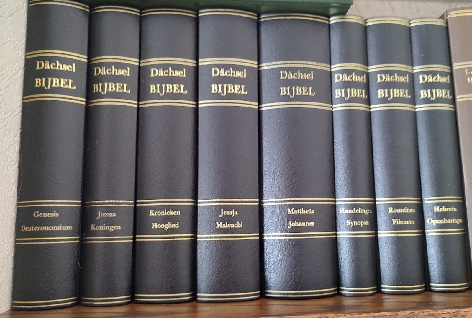 Dachsel Bijbel verklaring, Ophalen of Verzenden, Gelezen, Karl August Dächsel, Christendom | Protestants