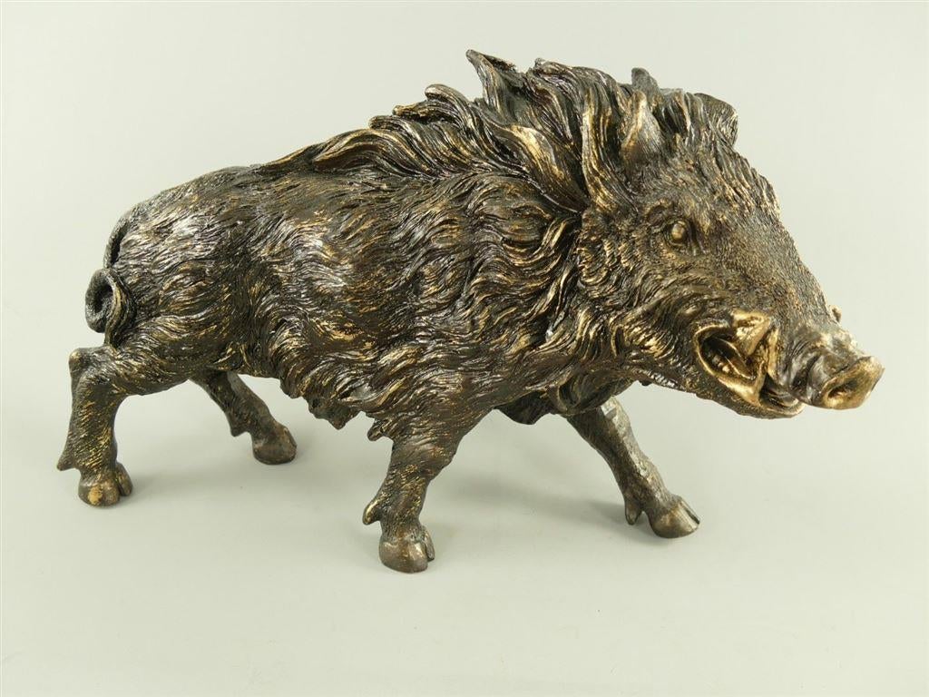 zwijn , wildzwijn, Ophalen of Verzenden
