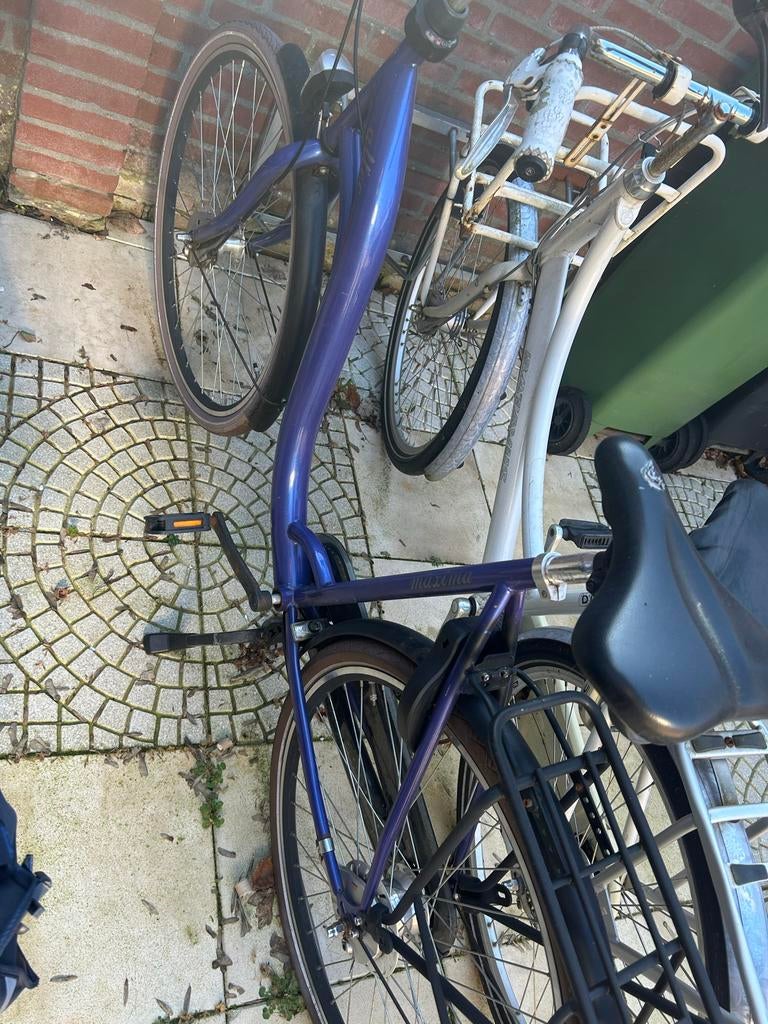 Damesfietsen: Batavus Diva en Overige Merken, Fietsen en Brommers, Fietsen | Dames | Damesfietsen, Ophalen, Velgrem, Batavus, 53 tot 56 cm