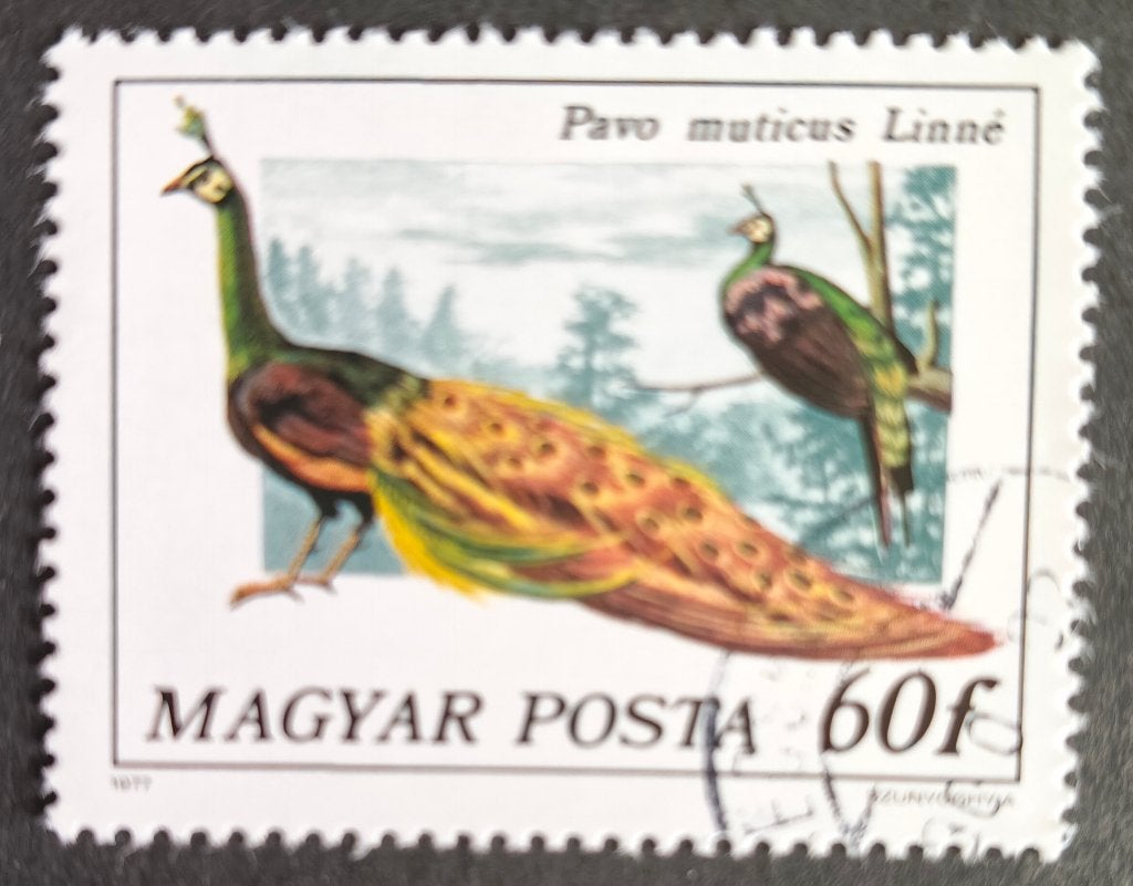 MAGYAR POST (Hongarije) - pauw 1977, Verzenden, Gestempeld