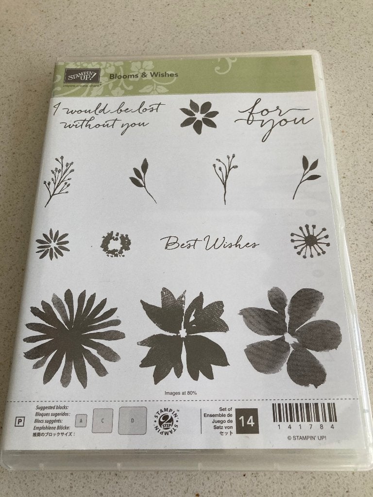Stampin' Up stempelsets, Ophalen of Verzenden, Zo goed als nieuw, Clearstamp