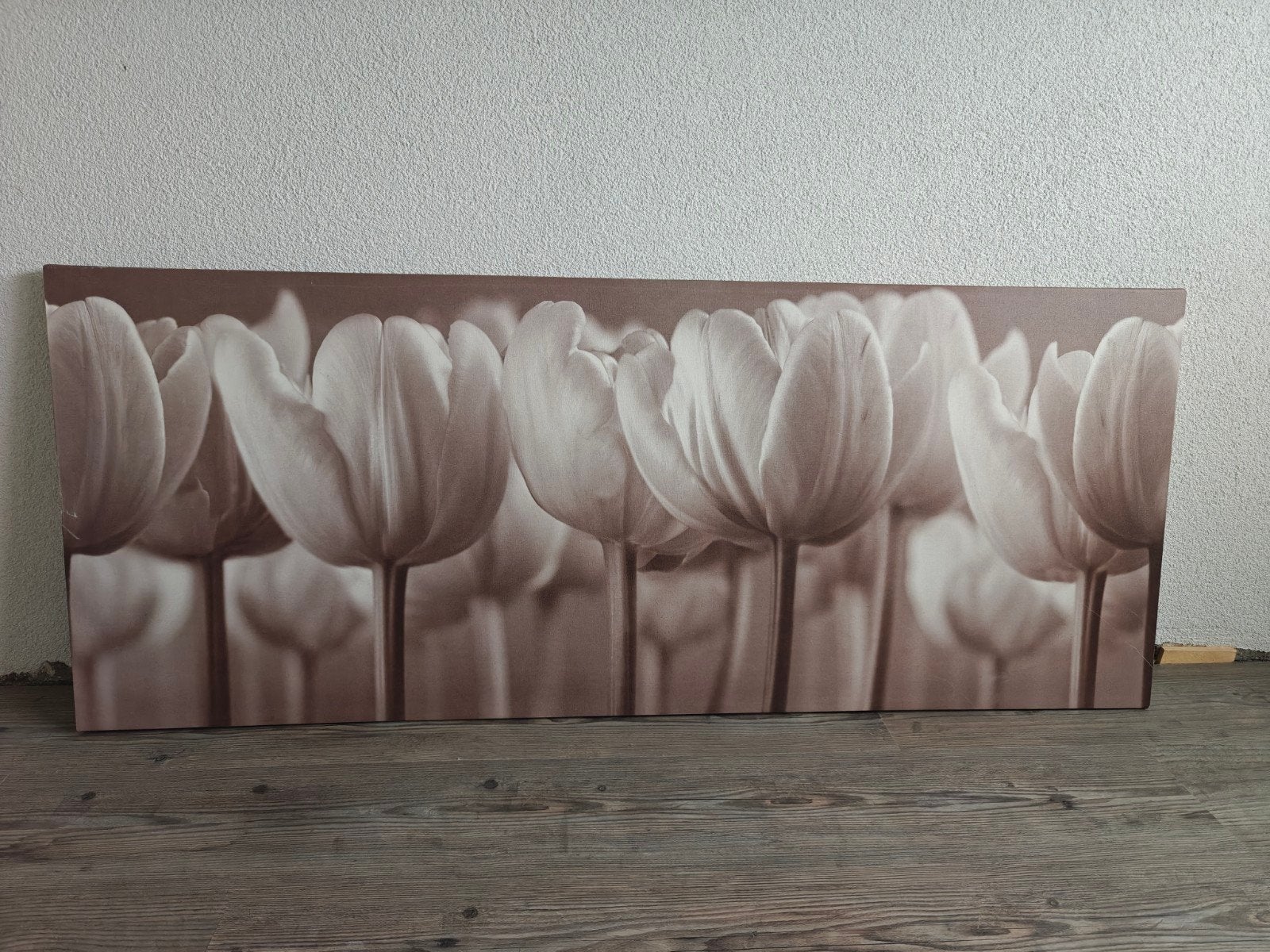 Ikea schilderij tulpen sephia kleur, Ophalen, Zo goed als nieuw, 125 cm of meer, Schilderij