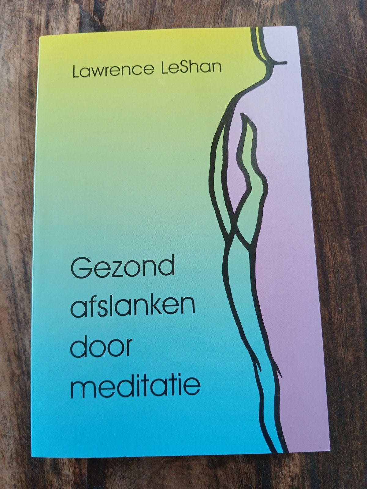 Gezond afslanken door meditatie, Boeken, Ophalen of Verzenden, Zo goed als nieuw, Gezondheid en Conditie