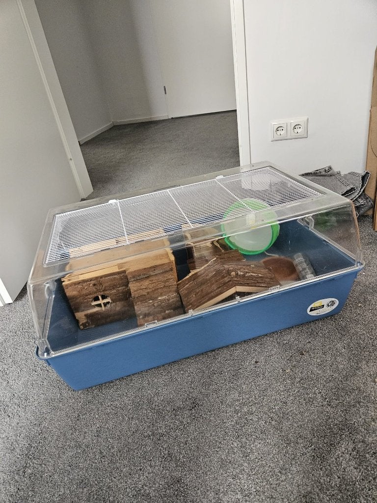 Hamsterkooi met toebehoren, Gebruikt, Minder dan 75 cm, Ophalen, Minder dan 60 cm