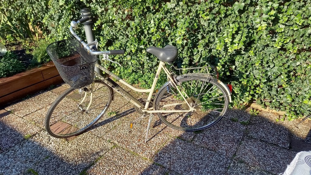 Fiets, Gebruikt, Velgrem, Versnellingen, 50 tot 53 cm