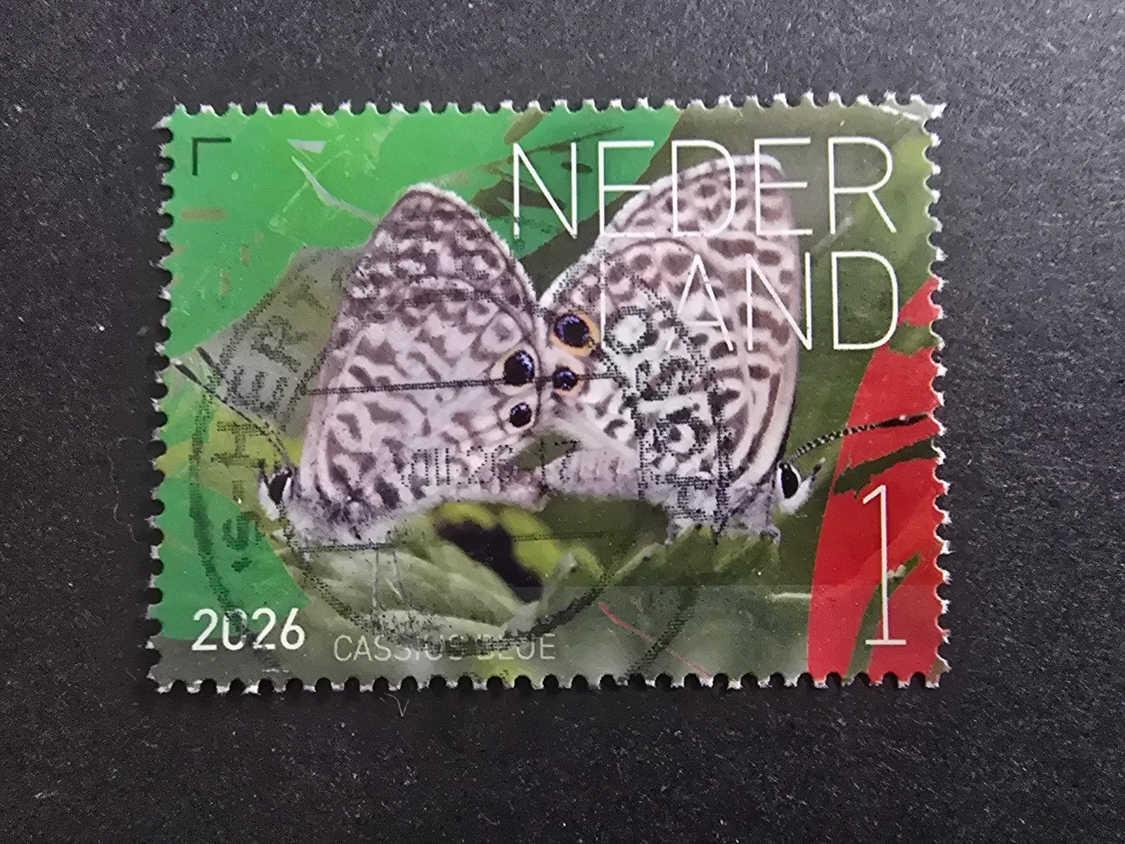 Beleef de Natuur Saba 2026 - Cassius Blue, Postzegels en Munten, Postzegels | Nederland, Ophalen of Verzenden, Na 1940, Gestempeld