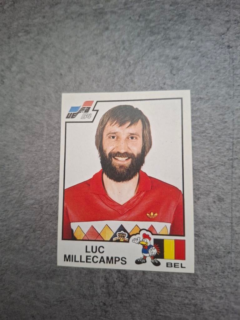 Panini sticker Euro 84 France. Luc Millecamps België., Verzenden, Zo goed als nieuw, Sticker