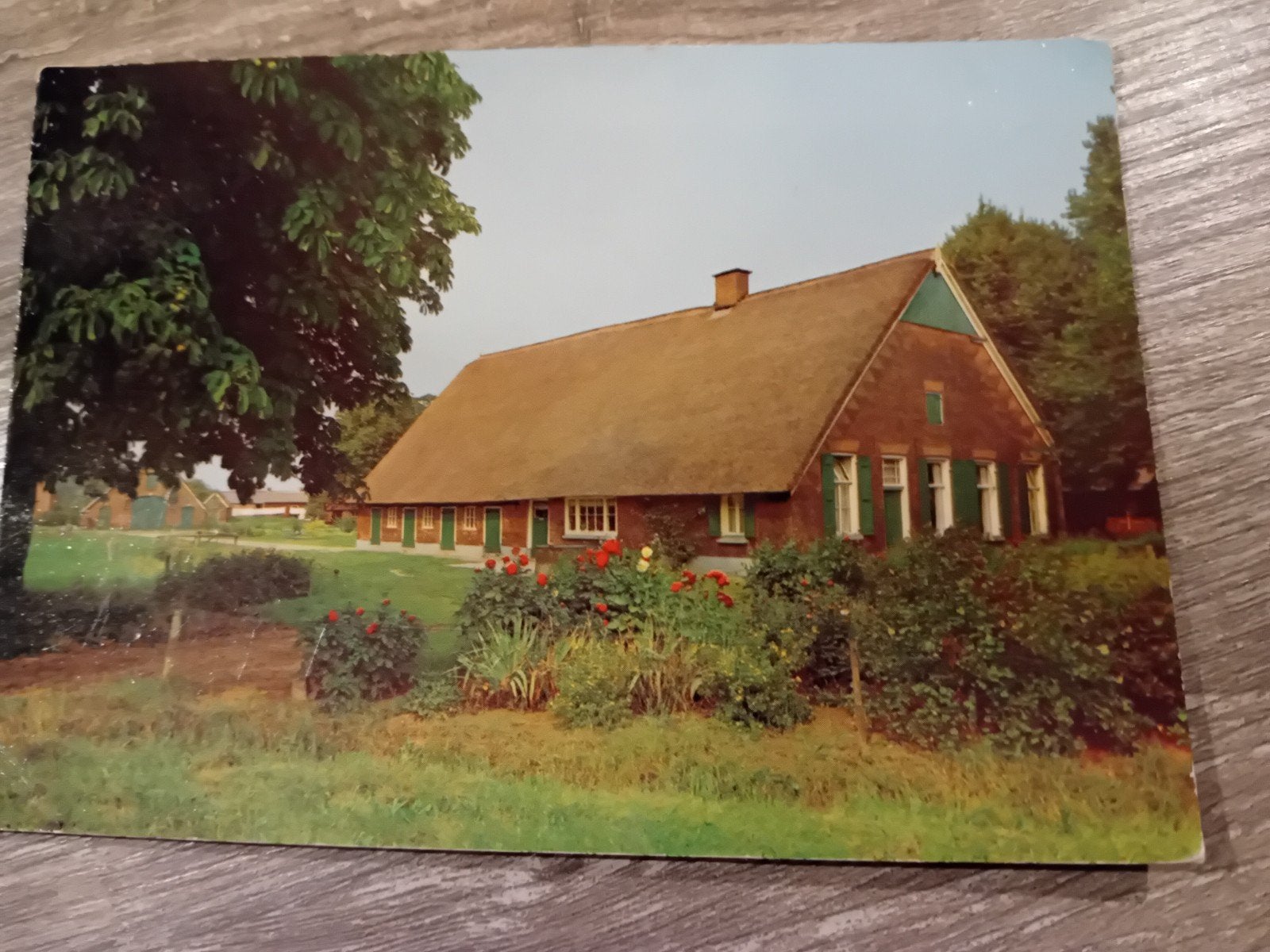 Ansichtkaart Rheeze., Ophalen of Verzenden, 1960 tot 1980