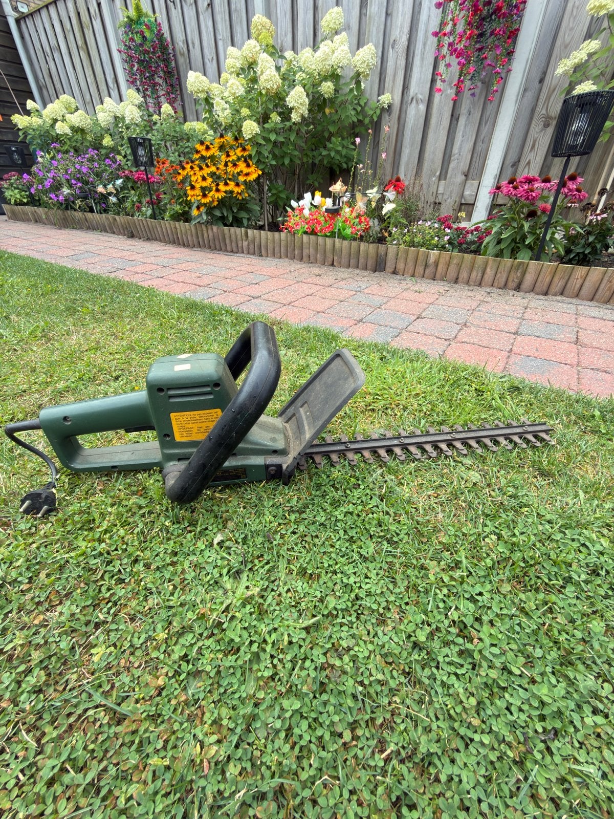 Black & Decker GT 221 elektrische heggenschaar, Ophalen, Gebruikt, Elektrisch