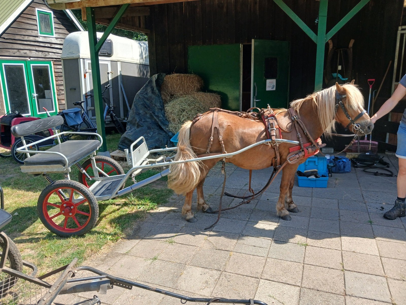 Sulky shetlander /a pony, Dieren en Toebehoren, Sulky, Pony