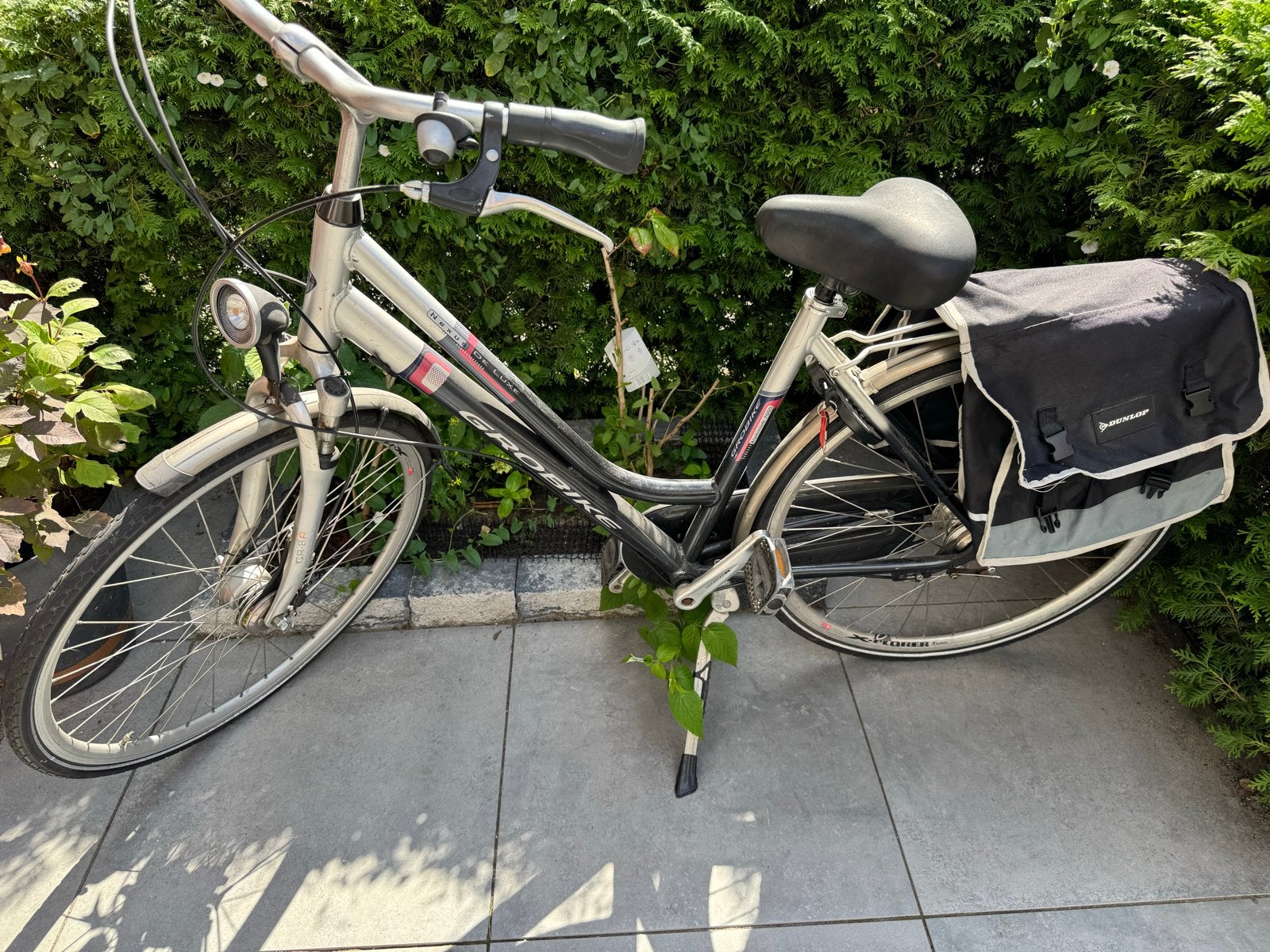 GroBike Nexus De Luxe Damesfiets - Aluminium 7005, Terugtraprem, Versnellingen, Ophalen, Overige merken