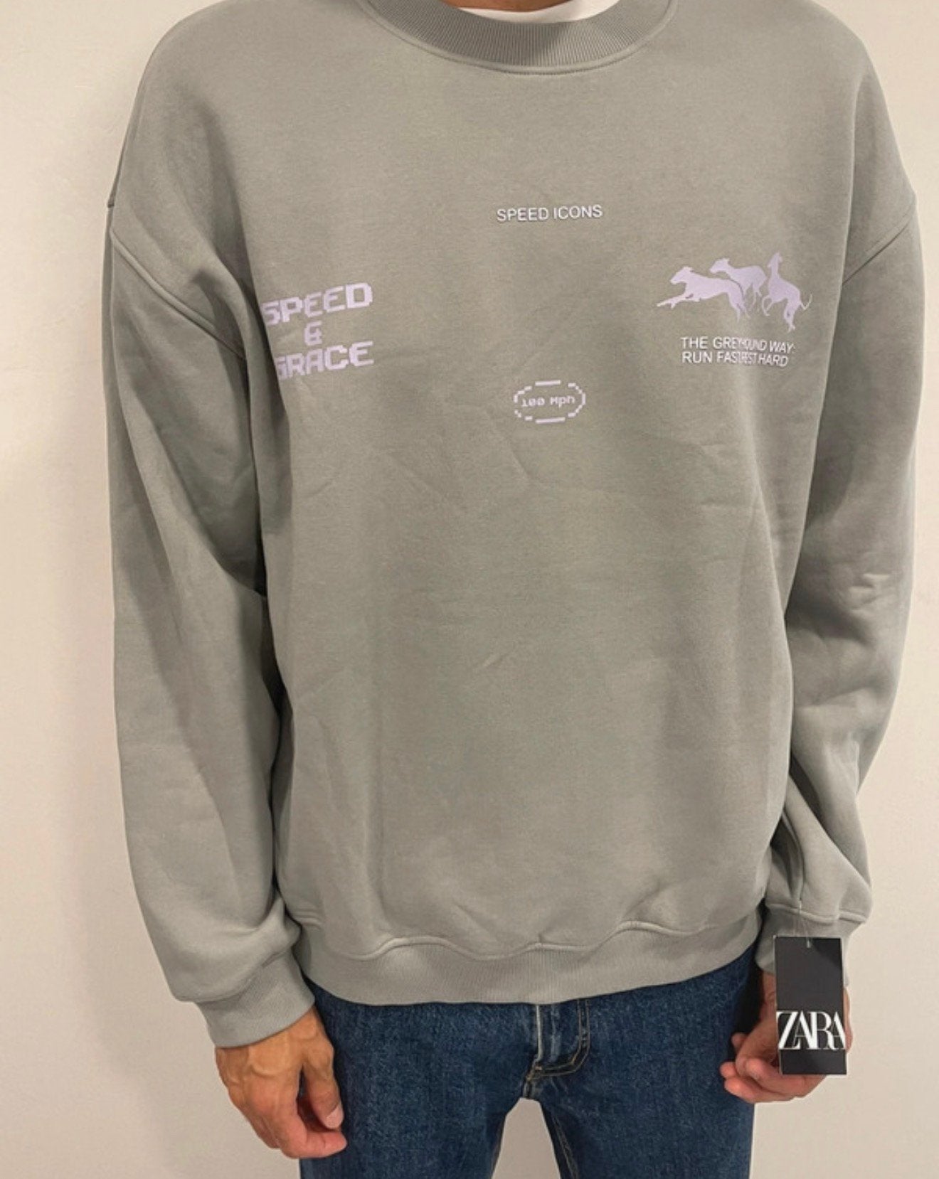 Nieuwe ZARA GREYHOUND trui sweater L - XL - XXL, Ophalen, Nieuw, Maat 46/48 (XL) of groter