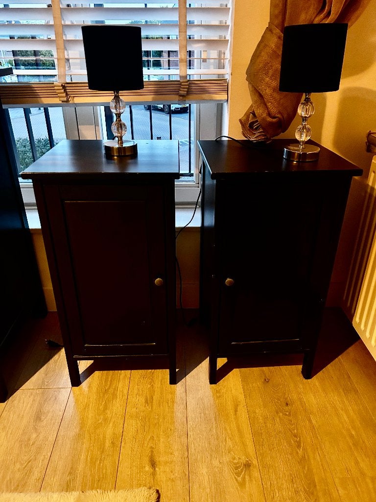 2x IKEA HEMNES Kastjes met deur – Zwartbruin + gratis lampen, Ophalen, Gebruikt, Minder dan 45 cm, 70 cm of meer