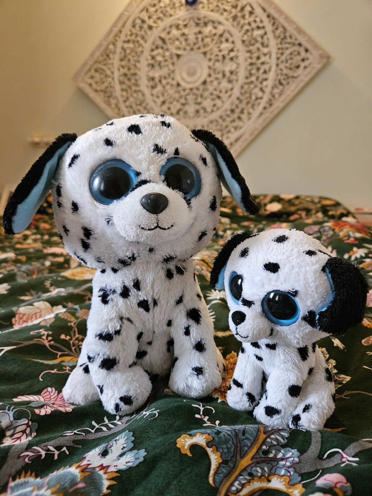 knuffel ty beanie boo.  dalmatier, Gebruikt, Overige karakters, Klein (minder dan 20 cm), Ty