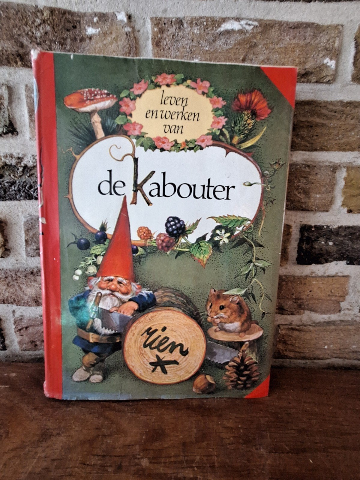 boek de kabouter rien poortvliet, Ophalen of Verzenden, Gelezen, Rien Poortvliet
