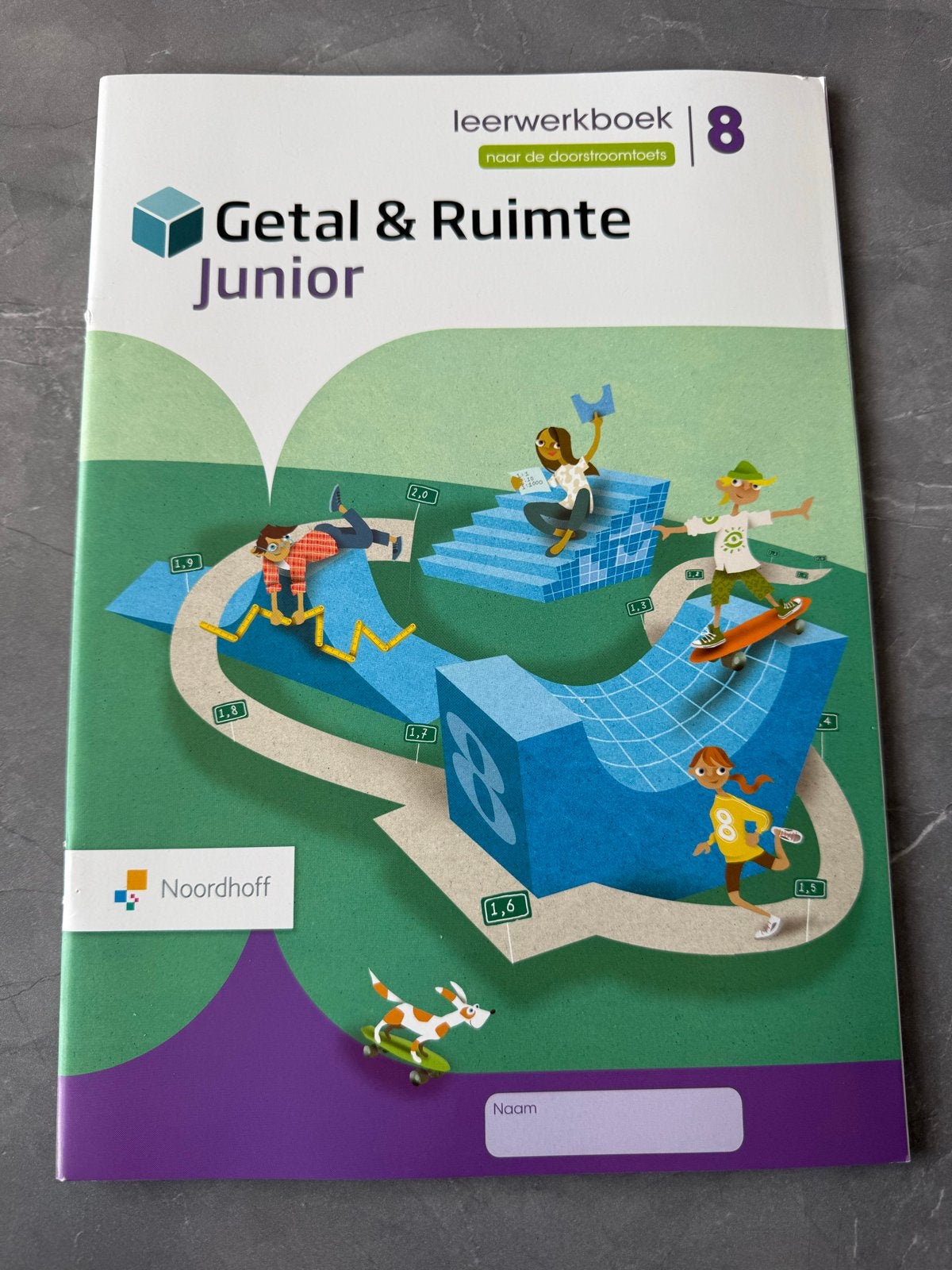 Getal & Ruimte Junior Leerwerkboek 8 naar doorstroomtoets, Boeken, Ophalen of Verzenden, Beta, Zo goed als nieuw, Overige niveaus