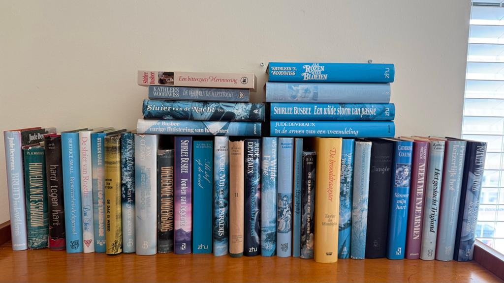 Grote collectie romans van diverse auteurs, Boeken, Ophalen, Gelezen, Nederland