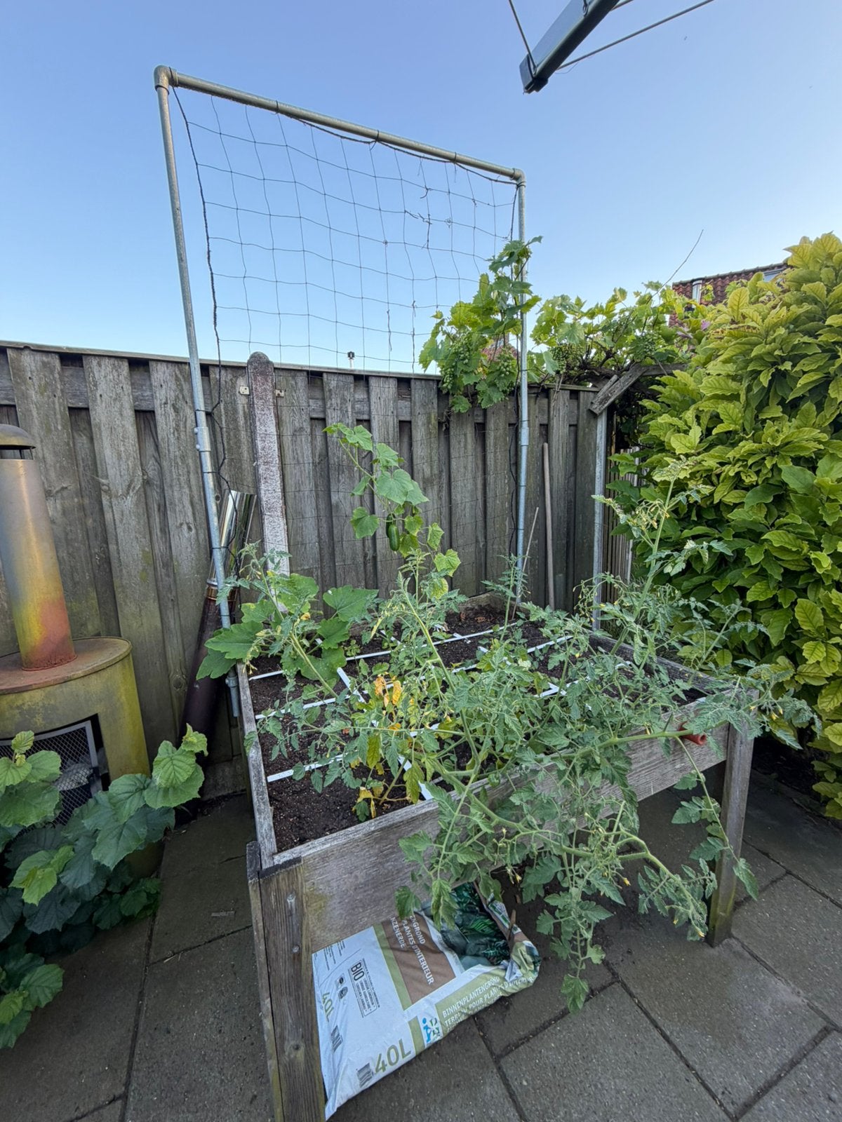 Makkelijke moestuinbak, Ophalen, Zo goed als nieuw, Hout, Overige typen