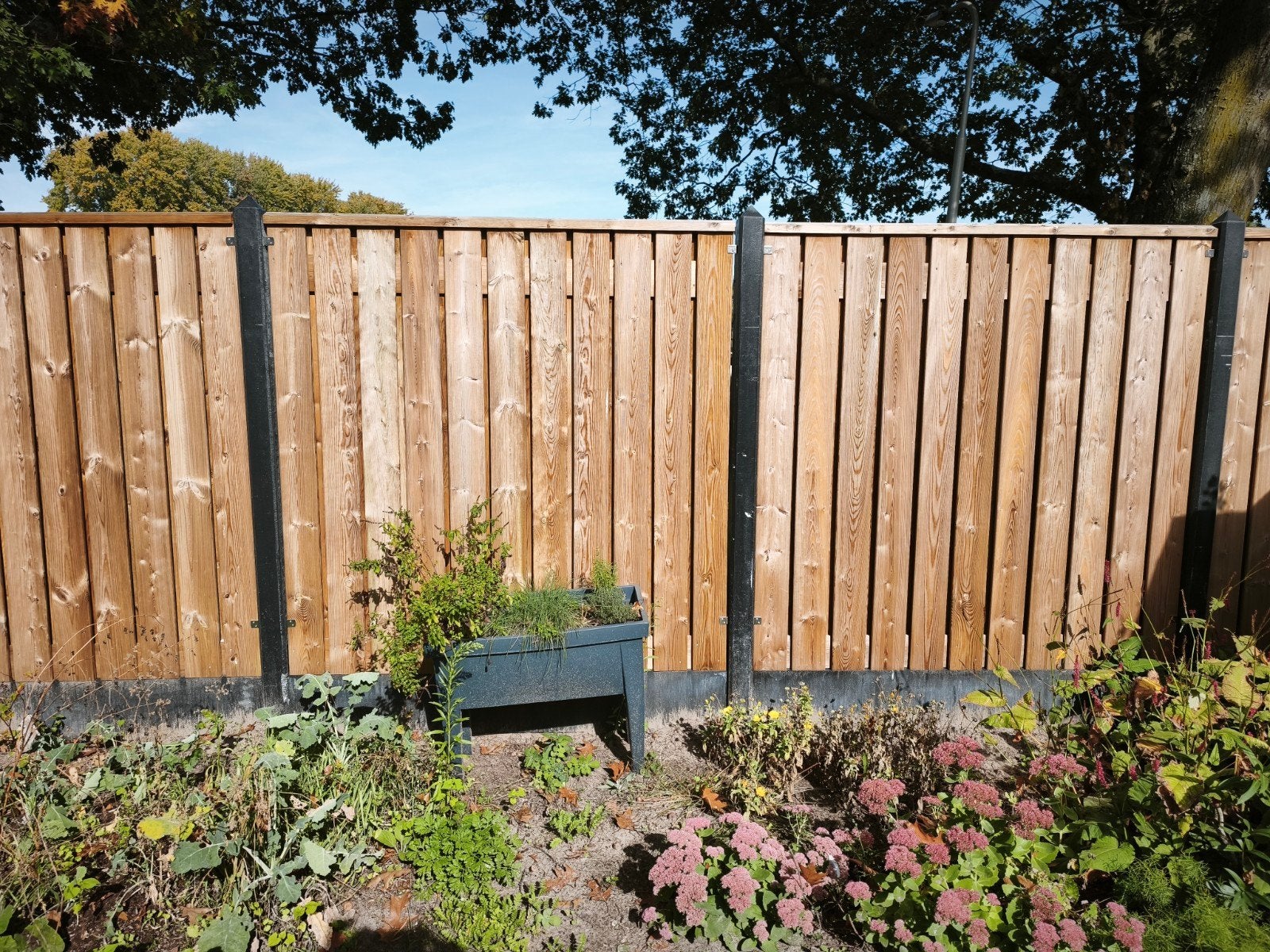 Nieuwe Nobifix houten schutting (nieuwprijs 800 euro), Ophalen, Minder dan 3 meter, Nieuw, 2 meter of meer