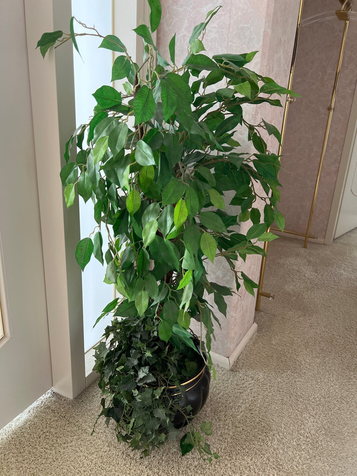 Grote kunstplant met pot - Ficus en Klimop, Ophalen, Binnen, Groen, Kunstplant