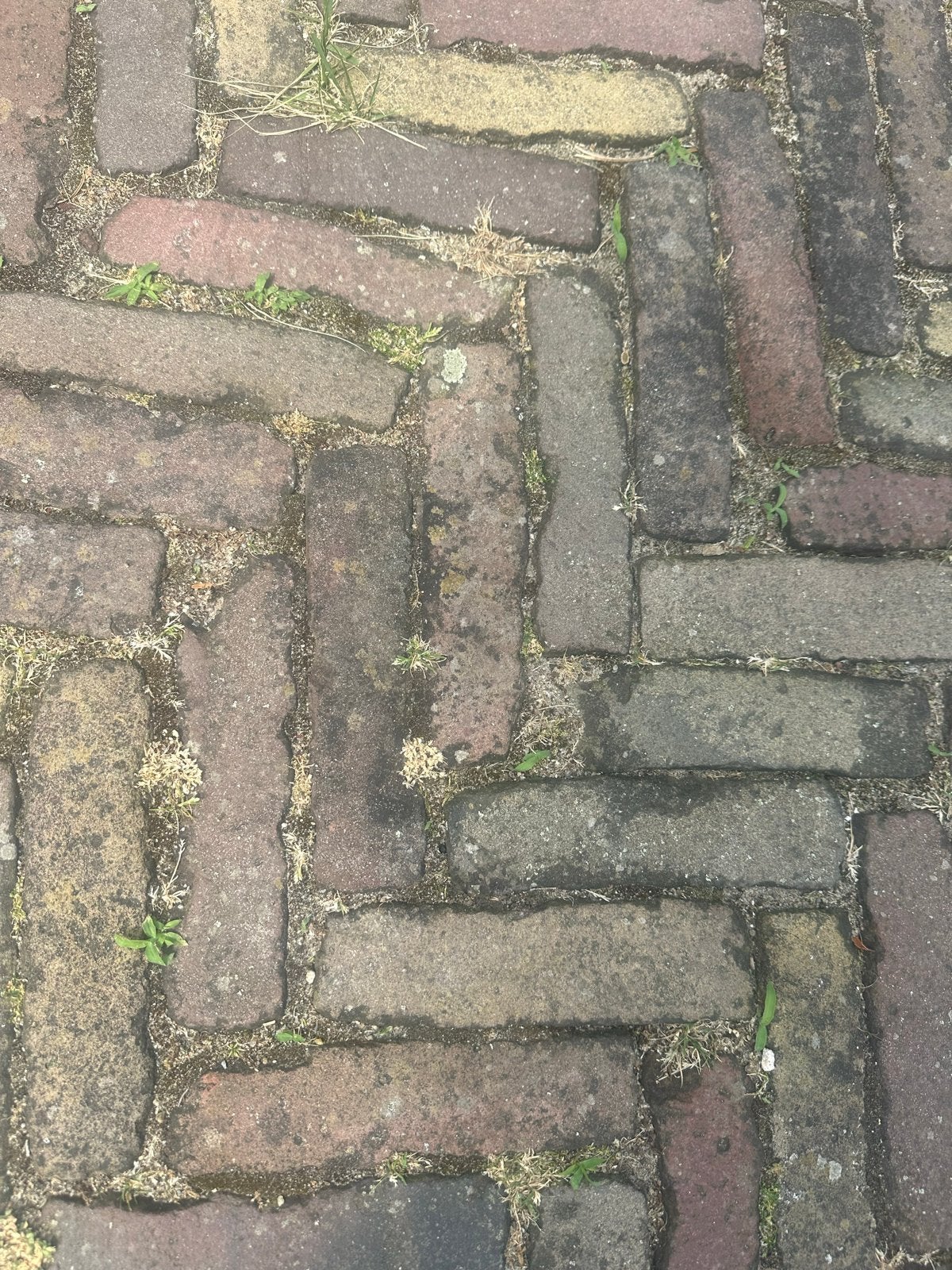 Authentieke handgebakken waaltjes (ca. 25 m²), Doe-het-zelf en Verbouw, Ophalen, Overige materialen, Gebruikt, Overige typen