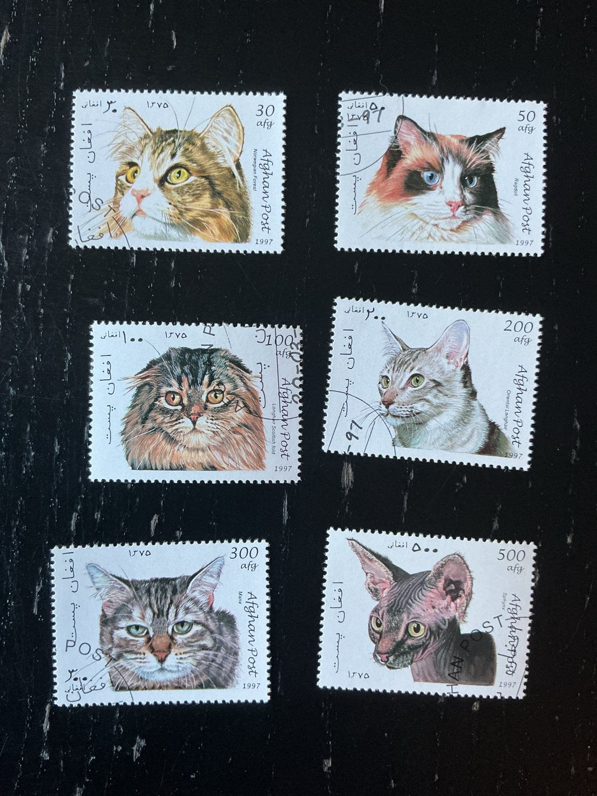 Set van 6 Afghaanse postzegels met katten (1997), Ophalen of Verzenden, Na 1940, Gestempeld
