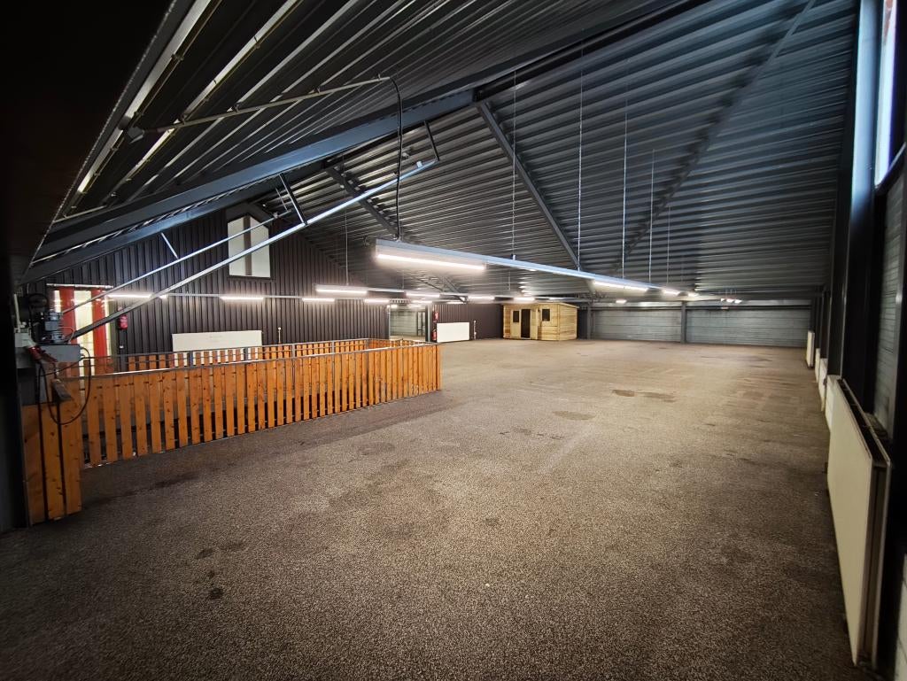 Showroom / Bedrijfruimte te huur, Zakelijke goederen, Bedrijfs Onroerend goed, 393 m², Huur, Showroom