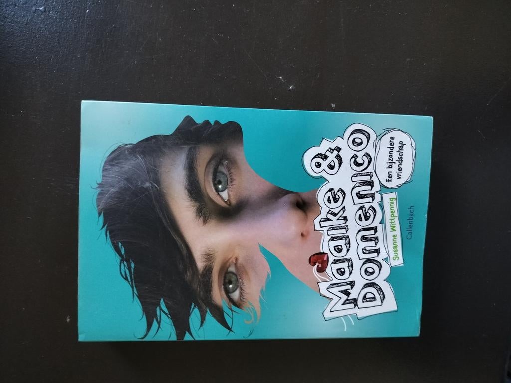 Maaike & Domenico - Een bijzondere vriendschap, Ophalen, Gelezen, Susanne Wittenberg, Nederland