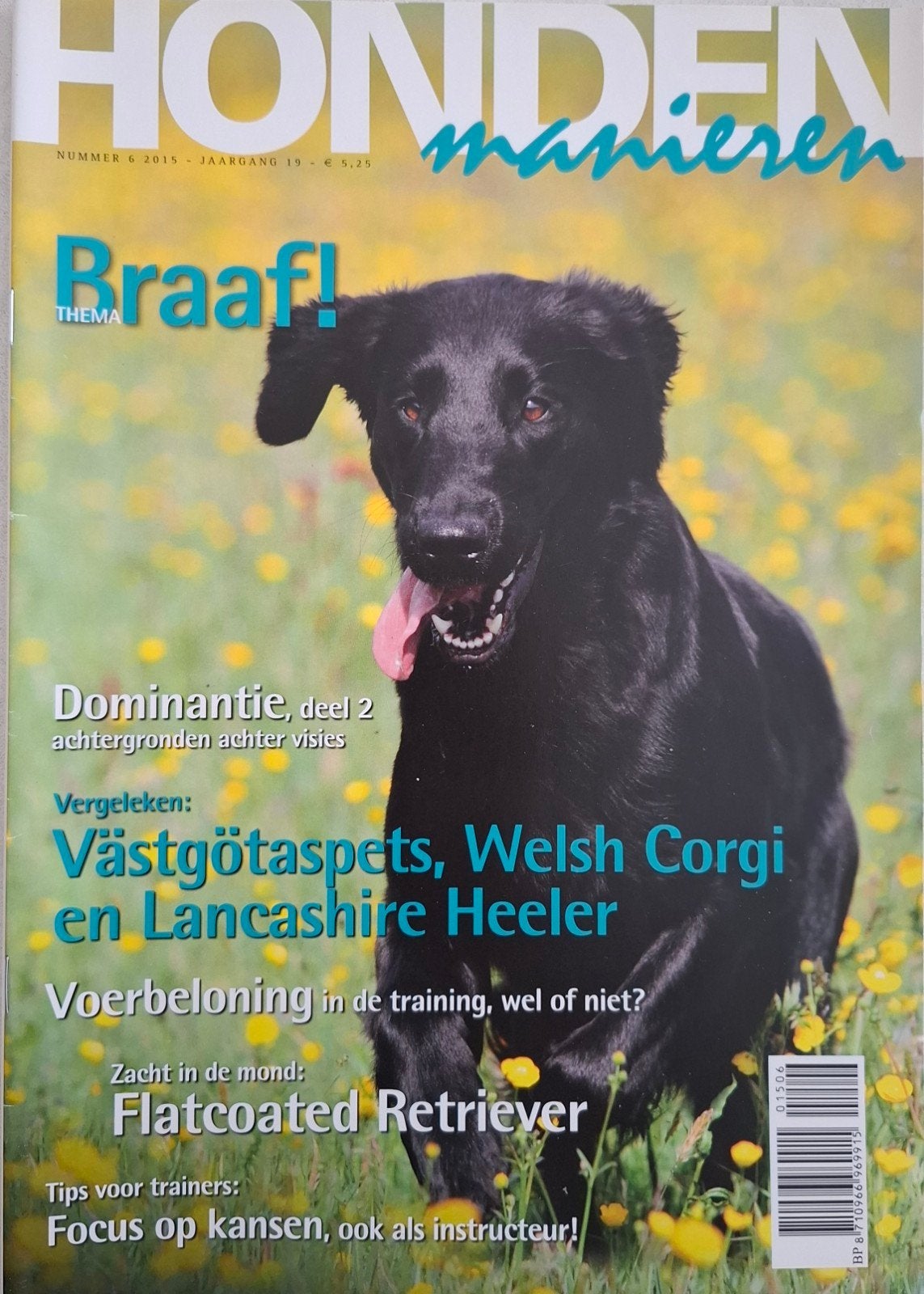 Honden Manieren Magazine - Nummer 6 2015 - Nieuwstaat, Ophalen of Verzenden, Nieuw, Diverse auteurs