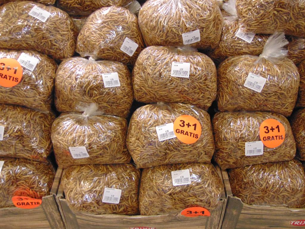 Meelwormen 3+1 gratis in Assen!, Ophalen, Vogel