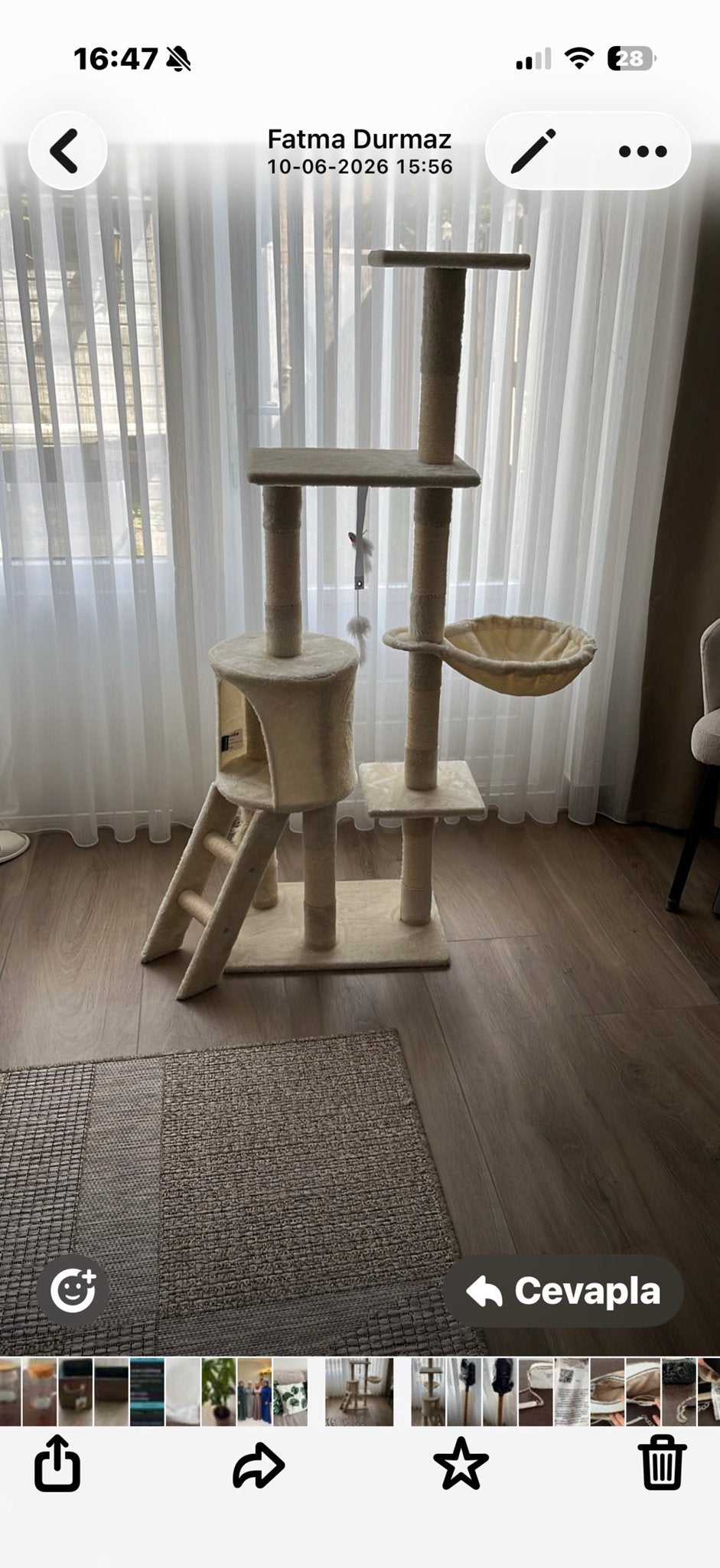 Katte, Ophalen of Verzenden