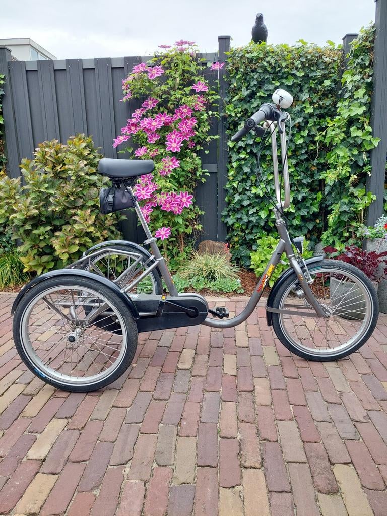 Mooie Nijland Sunny 3wielfiets, Ophalen