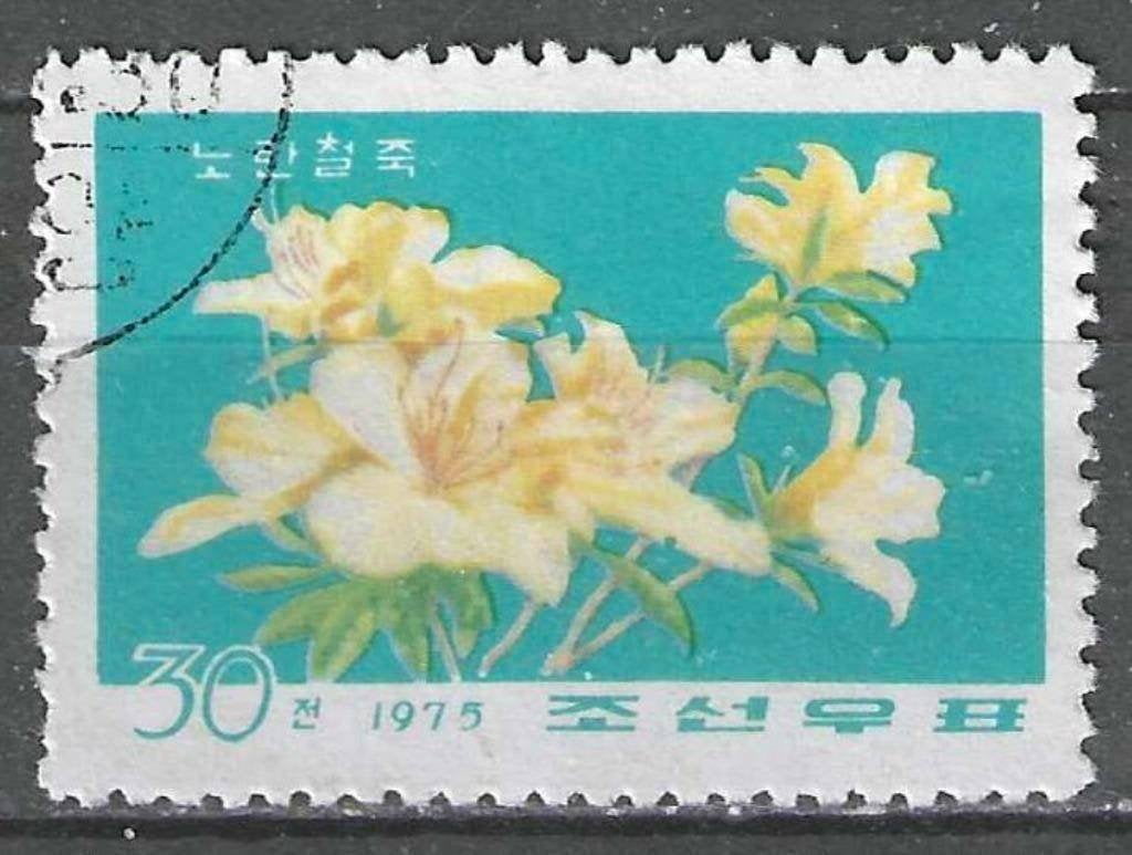 Noord-Korea 1975 - Yvert 1340 - Azalea - 30 ch. (ST), Verzenden, Gestempeld, Oost-Azië
