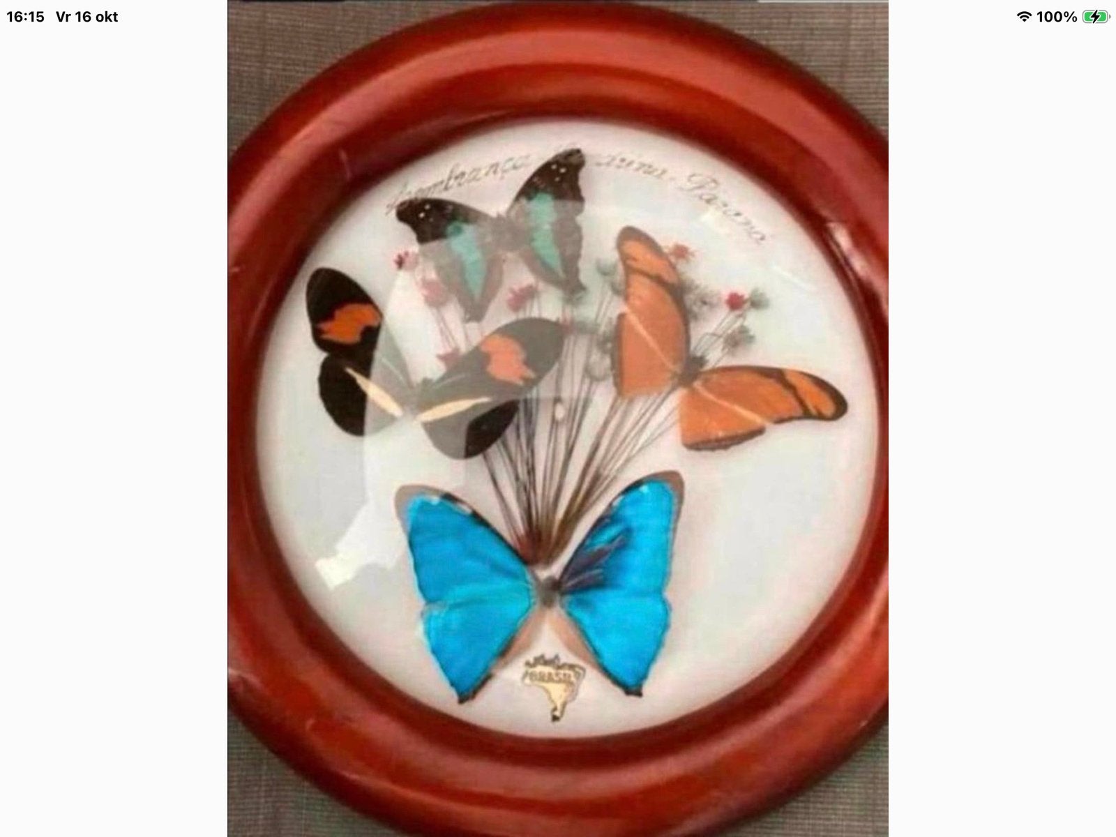 TAXIDERMIE PRACHTIG,+2KLEINE+VLINDERVERZAMELING,op aanvraag, Ophalen of Verzenden