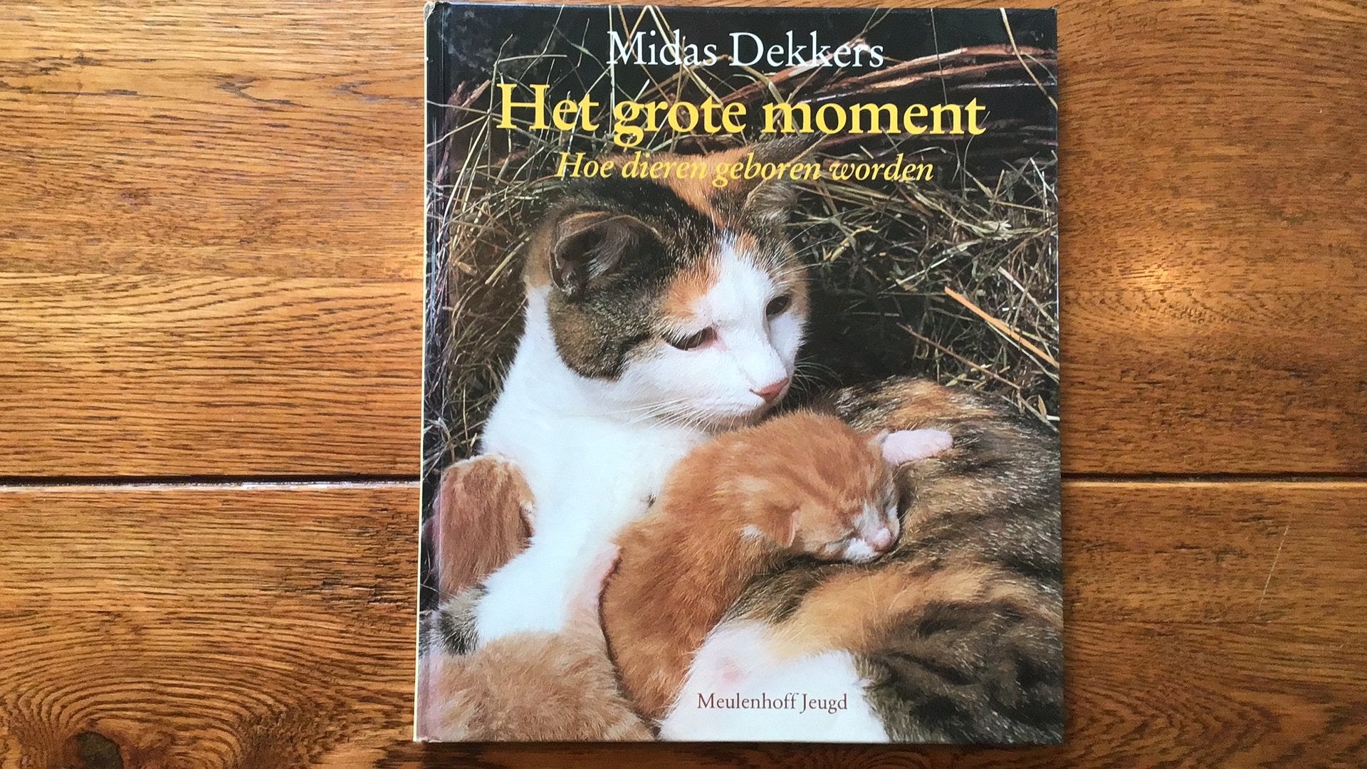 Het grote moment, Midas Dekkers, Boeken, Ophalen of Verzenden, Gelezen, Natuur algemeen