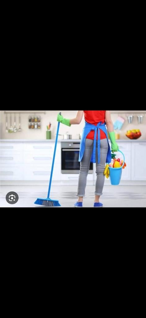 Schoonmaken sneek, Starter, Overige vormen