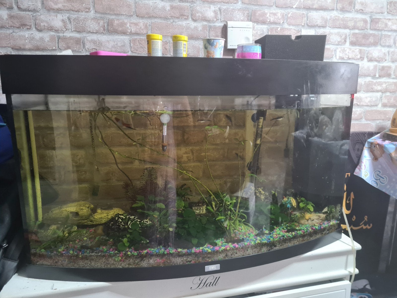 aquarium, Ophalen of Verzenden, Inclusief deksel, Leeg aquarium