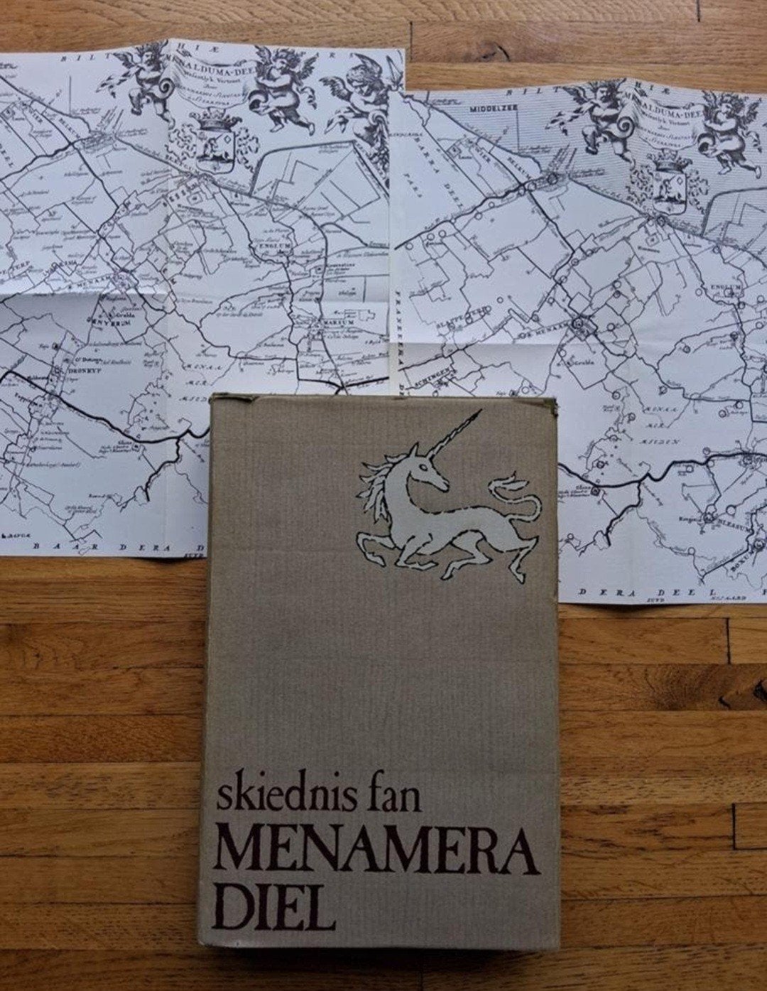 skiednis fan Menameradiel geschiedenis van Menameradiel, Boeken, Ophalen of Verzenden, Zo goed als nieuw