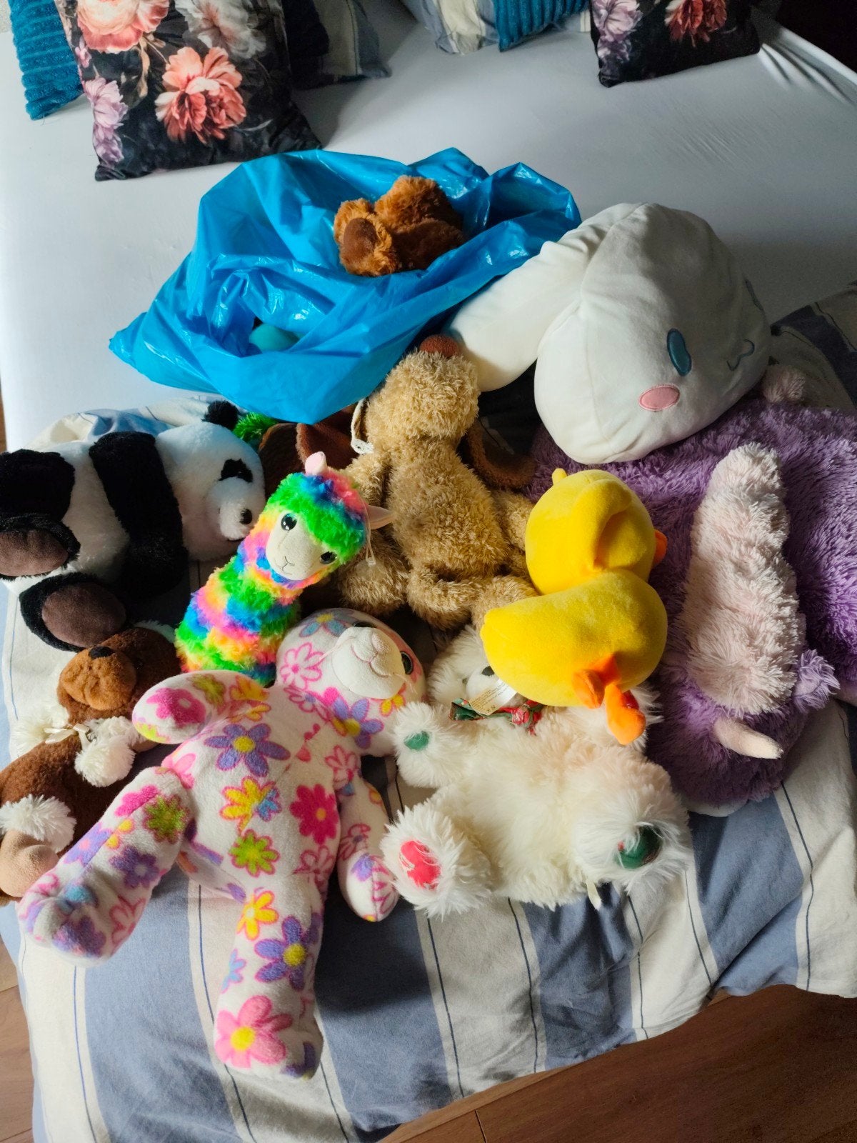 Knuffels, Ophalen, Zo goed als nieuw, Overige typen